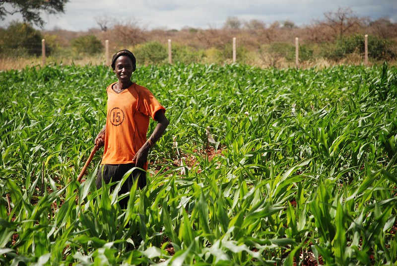 Agriculture Afrique - photo flickr