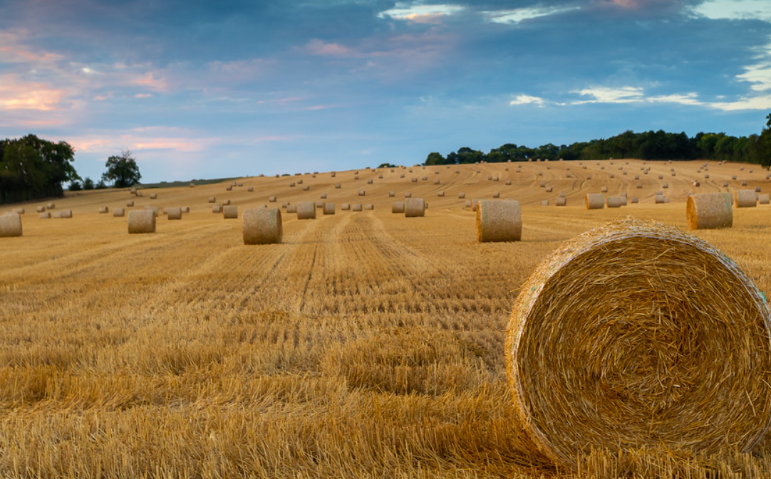 agriculture france